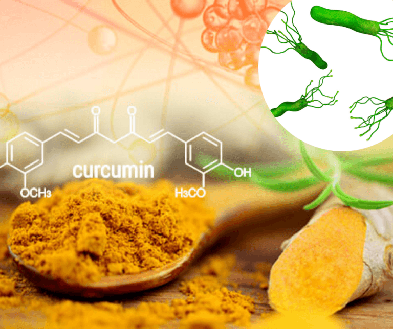 hìnhHoạt chất Curcumin ngăn ngừa tổn thương MI-RI